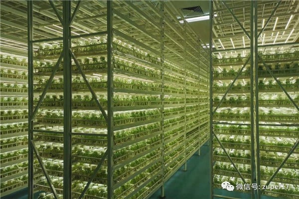 奶茶视频APP官网下载儀器設備