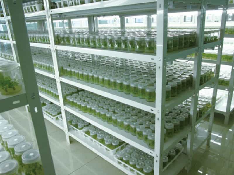 奶茶视频APP官网下载  奶茶视频APP官网下载設備