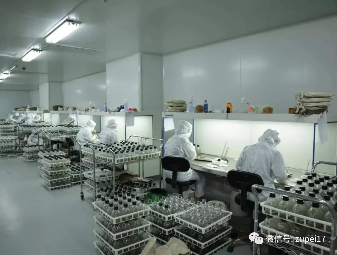 奶茶视频APP官网下载